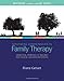 Mastering Competencies in Family Therapy: A Practical Approach to Theory and Clinical Case Documentation