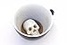 Direct Wholesaler 16 Skull Ceramic Cup (15 Ounce, Black)| Hidden Animal Inside | Holiday and Birthday Gift for Coffee & Tea Lovers
