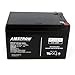 Amstron 12V/12AH Sealed Lead Acid Battery w/ F2 Terminal