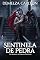 Livro Sentinela de Pedra: Um Romance de Gárgula Protetora (Coração de Aço)
