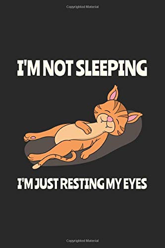 I M Not Sleeping Funny Notebook For Lazy People Who Love To Sleep