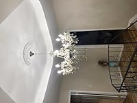 Review Image by Taj T