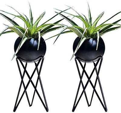 Orimina Pack of 2 Tabletop Standing Air Plant Holder Air Plant Stand Air Plant Container Xerographica Air Plant Holder Air Plant Support Tillandsia Air Plant Stand (Black)