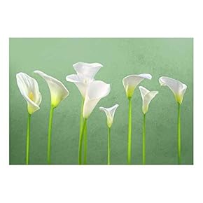 Arum Lilies with Vibrant Green Textured Background - Wall Mural, Removable Sticker, Home Decor - 66x96 inches