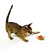 SmartyKat Scamper Bug Cat Toy Remote Controlled Chase Toy