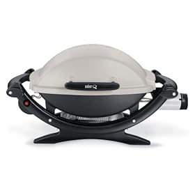 Weber 386002 Q-100 Portable Gas Grill