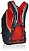 Osprey Packs Parsec Daypack, Armor Grey