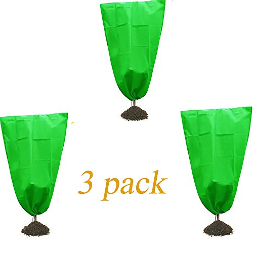 Top 10 Frost Protection For Trees of 2020 No Place Called Home