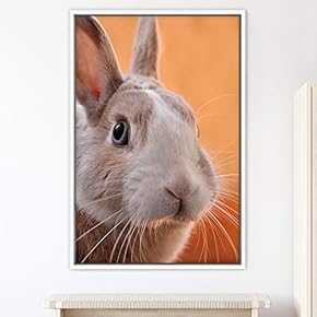 signwin Framed Canvas Wall Art Bunny Animals Bedroom...