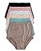 Barbra Lingerie High Waisted Light Control Satin Full Coverage Women's Brief Panties (Medium)