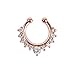 Septum Fake Nose Ring Jewelry,Women Girls Septum Ring Faux Nose Rings Non-Piercing Jewelry Clip On Clicker (8 PCS)