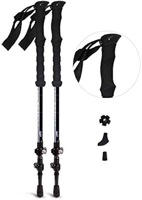 best cheap hiking poles