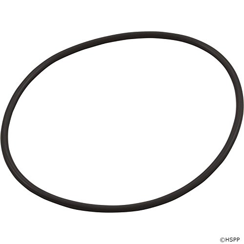 Custom Molded Products O-Ring, CMP Pressure Filter, Lid