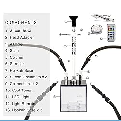 2 Hose Hookah Set with Travel Case Clean