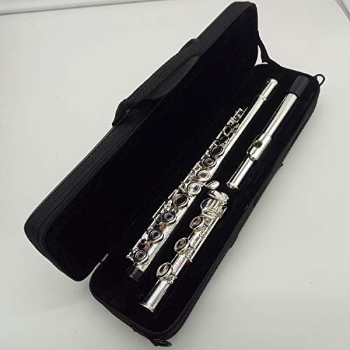 Music Fancier Club High Quality Intermediate Standards Flute Student Flutes Silver Plated 17 Holes Open Hole With Case