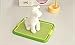 ANYPET Dog Puppy Cat Pet Potty Anypet Indoor Training Toilet, Green