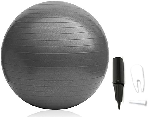VIVINATURE Inflatable Fitness Ball Anti-slip Stability Ball 75cm Diameter 200kg Weight Capacity Yoga Ball Premium Exercise Ball Swiss Ball with Pump (Black)