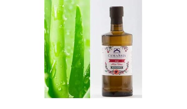 Aloe vera BIO - Jugo sin conservantes - 2000ml - 2000ml: Amazon.es ...
