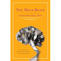 The Male Brain: A Breakthrough Understanding of How Men and Boys Think book cover