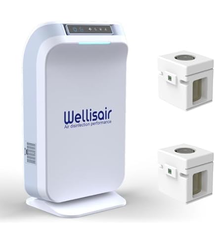 Amazon.com: Wellis Air Purifier for Home Bedroom Living Room