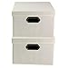 Household Essentials Fabric Storage Boxes with Lids and Handles, Natural