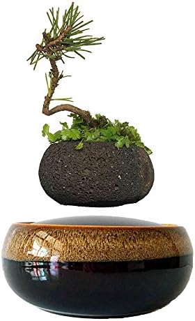 High-tech Magnetic Levitating Air bonsai Floating Bonsai Layer Garden Pots Fashion Gifts (volcanic stone pot)