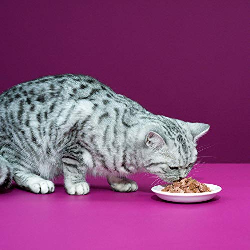Whiskas 7 + Kattenvoer, Hoogwaardig Nat Voer In Verschillende Smaken, 84 x 100 g - Afbeelding 8