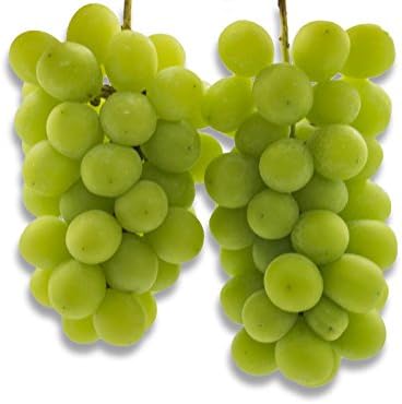 Amazon フルーツなかやま シャインマスカット ２房 特大サイズ 皮ごと食べれる種なしぶどう 市場のぶどう スペシャリストが選び抜いた糖度16度以上の厳選ぶどう フルーツなかやま ぶどう 通販