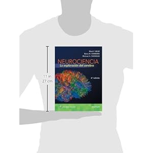 Neurociencia. La exploración del cerebro (Spanish Edition)