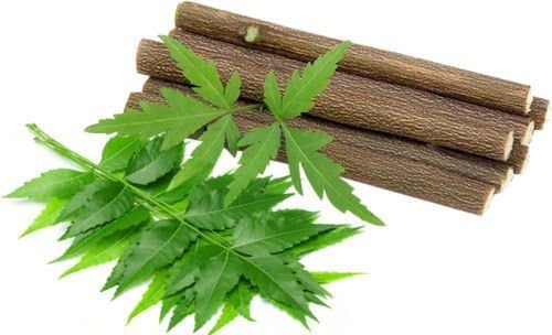 Amazon Com 15 Chewing Sticks Of Neem Datun Oral Herbal Teeth Tongue Cleaner Kitchen Dining