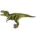 Tyrannosaurus Rex Dinosaur Action Figures 11
