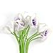 Muyee 20 Pcs Artificial Calla Lily Flowes Real Touch Fake Flowers Wedding Bouquets Valentines Day Decorations(Purple White)
