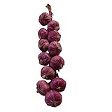 Bvi Decor Nearly Natural Fake Onion Decoration