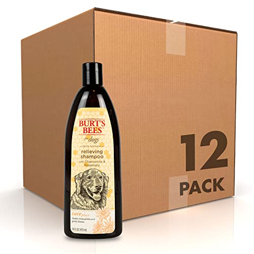 Burt's Bees for Dogs Care Plus+ Natural Relieving Dog Shampoo with