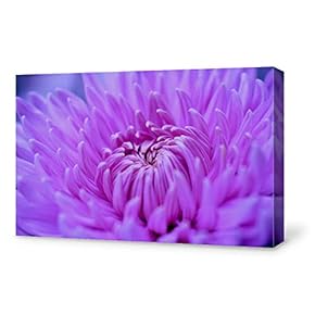 for Living Room Bedroom Home Artwork Paintings Close...