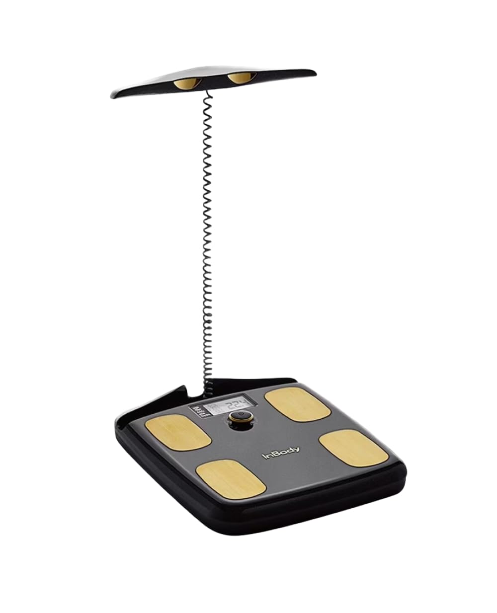 InBody Dial H20 | Body Composition Scale Most Accurate | Smart Scale with BMI, Body Fat, Muscle Mass | Weight Scale with Body Fat and Muscle
