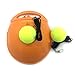 Linkin Sport Tennis Trainer Rebound Baseboard Self Tennis Training Tool Ball Back Training Gear with 2 String Balls