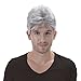 Gray Cosplay Short Wigs for Men-Grey Costume Party Christmas Halloween Synthetic Wig with Bangs