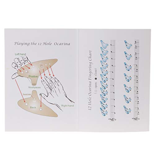 image for Jesse 12 Hole Alto D Ocarina, Ceramic Midrange Ocarina Musical Instrum