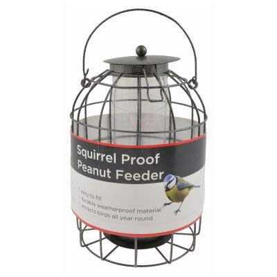 Bird Peanut Feeder Squirrel Proof Wild Bird Care Feed Garden