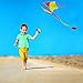 Summer 2017 New Delta Kite - Best Easy Flyer 40 Inch Kites for Kids and Adults - Assemble & Fly in Seconds Model with Handle and String - Today 100% Warranty - Outdoor Beach Fun for Amateur & Pros