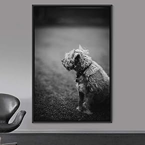 signwin Framed Canvas Wall Art Duotone Pupper Animals...