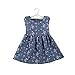 TIFENNY Spring Summer Kids Baby Girls Floral Sleeveless Princess Dress Vest Clothes (4T, Blue)