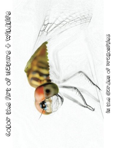 In the Garden of Dragonflies [Line Drawings]: Color the Art of Nature + Wildlife