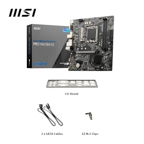PRO H610M-G