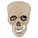 Halloween Haunters Life Size Realistic Groundbreaker Skeleton Bones Prop Decoration - Scary Plastic Body Parts Skull, Hands, Feet, Arms, Legs with Lawn Stakes - Graveyard Tombstone Haunted Grave
