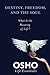 Destiny, Freedom, and the Soul (Osho Life Essentials) by OSHO