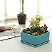 MyGift Modern Turquoise Ceramic Square Indoor Small Planter, Flower Succulent Plant Pot with Drainage Hole and Removable Drip Tray
