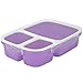 Leakproof, 3 Compartment, Bento Lunch Box, Airtight Food Storage Container (1 Pc) - Purple