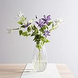 CASAMOTION Vases Hand Blown Art Glass Vase, Oxygen Bubbles Seeded Centerpiece Vases for Flower Arrangement, Clear, 12''h.